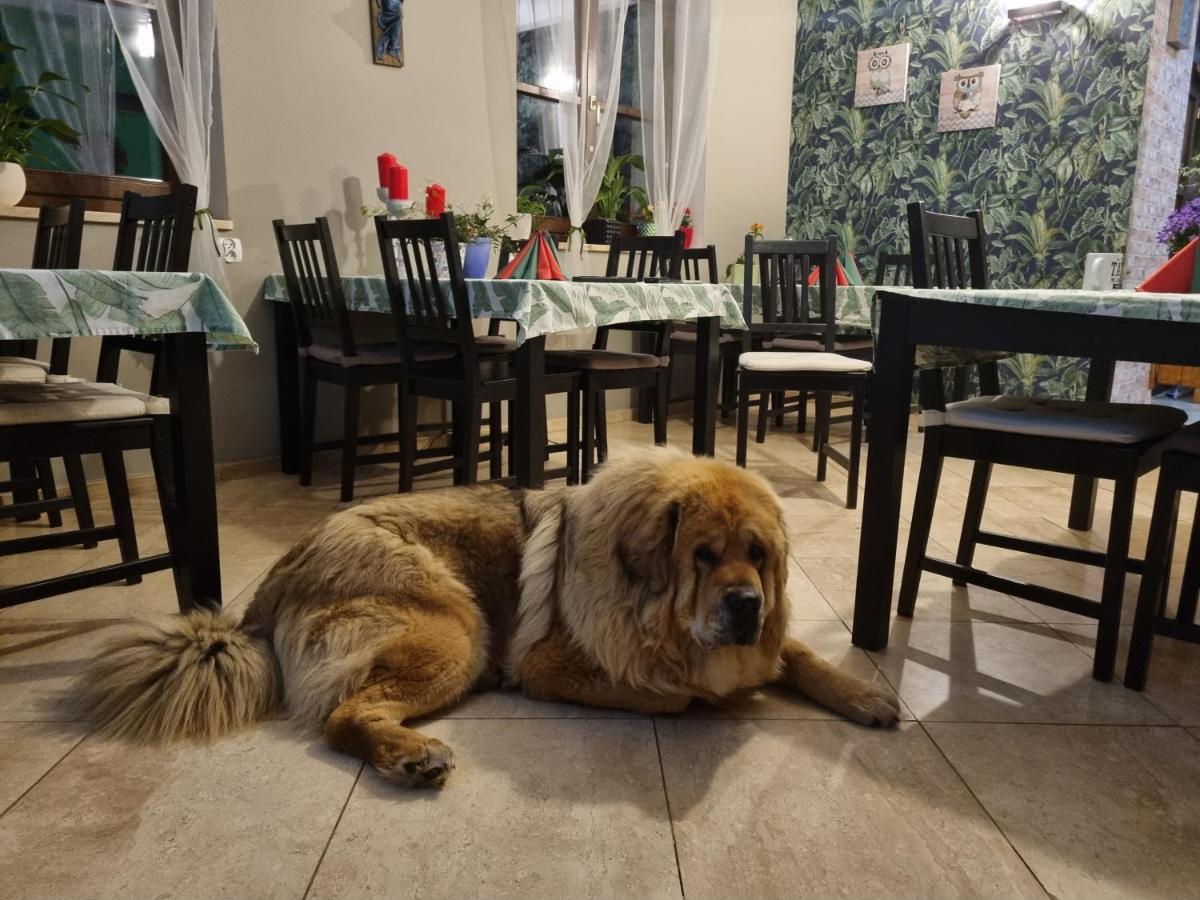 Dom Supelek Acomodação com café da manhã Duszniki Zdrój Exterior foto